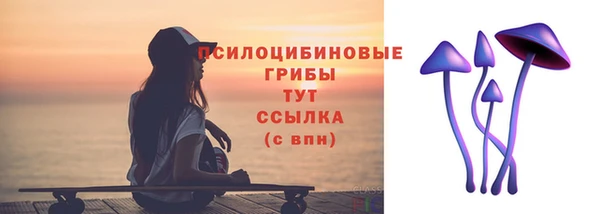 бошки Вязьма