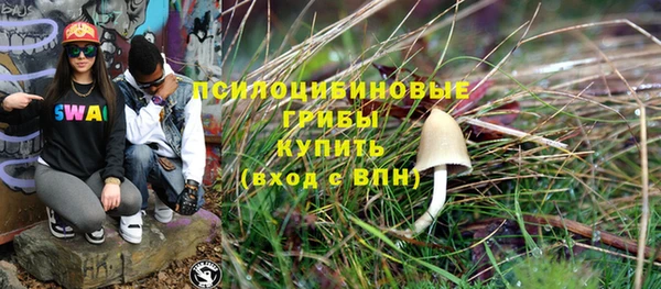 бошки Вязьма