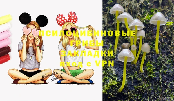 бошки Вязьма